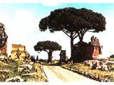 photo of road in Rome